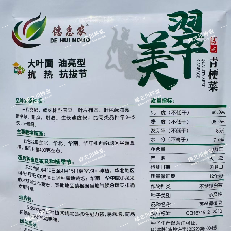 美翠油亮青梗菜种子耐热耐湿杂交大叶面青菜种子抗拔节抗热