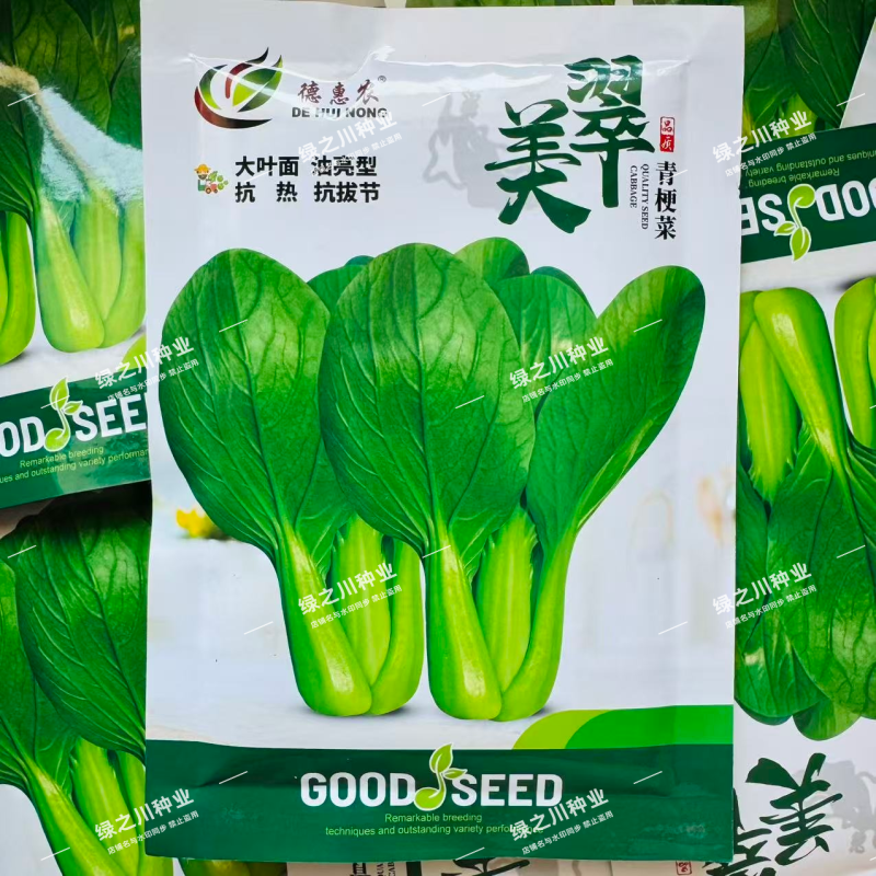美翠油亮青梗菜种子耐热耐湿杂交大叶面青菜种子抗拔节抗热