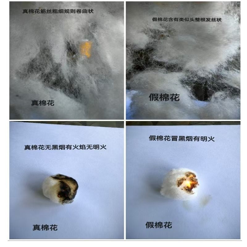 【正宗棉花】新疆棉花纯棉花棉胎原生棉二级棉被未加工纯棉花