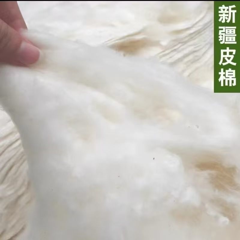 【正宗棉花】新疆棉花纯棉花棉胎原生棉二级棉被未加工纯棉花