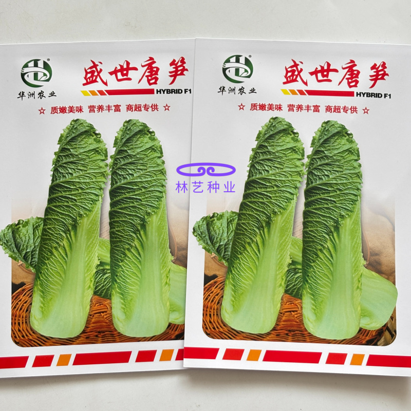 盛世唐笋绍菜白菜种子口感好优质高产抗病商品性佳农家秋季播