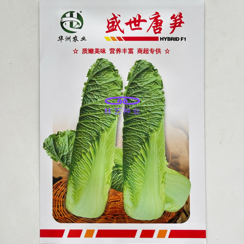 盛世唐笋绍菜白菜种子口感好优质高产抗病商品性佳农家秋季播