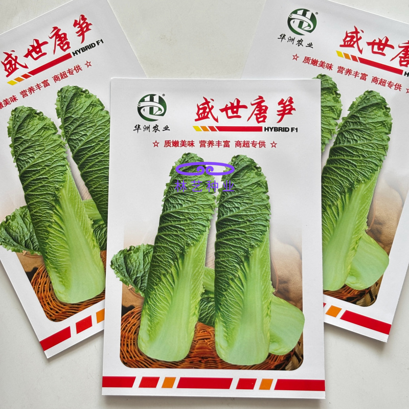 盛世唐笋绍菜白菜种子口感好优质高产抗病商品性佳农家秋季播