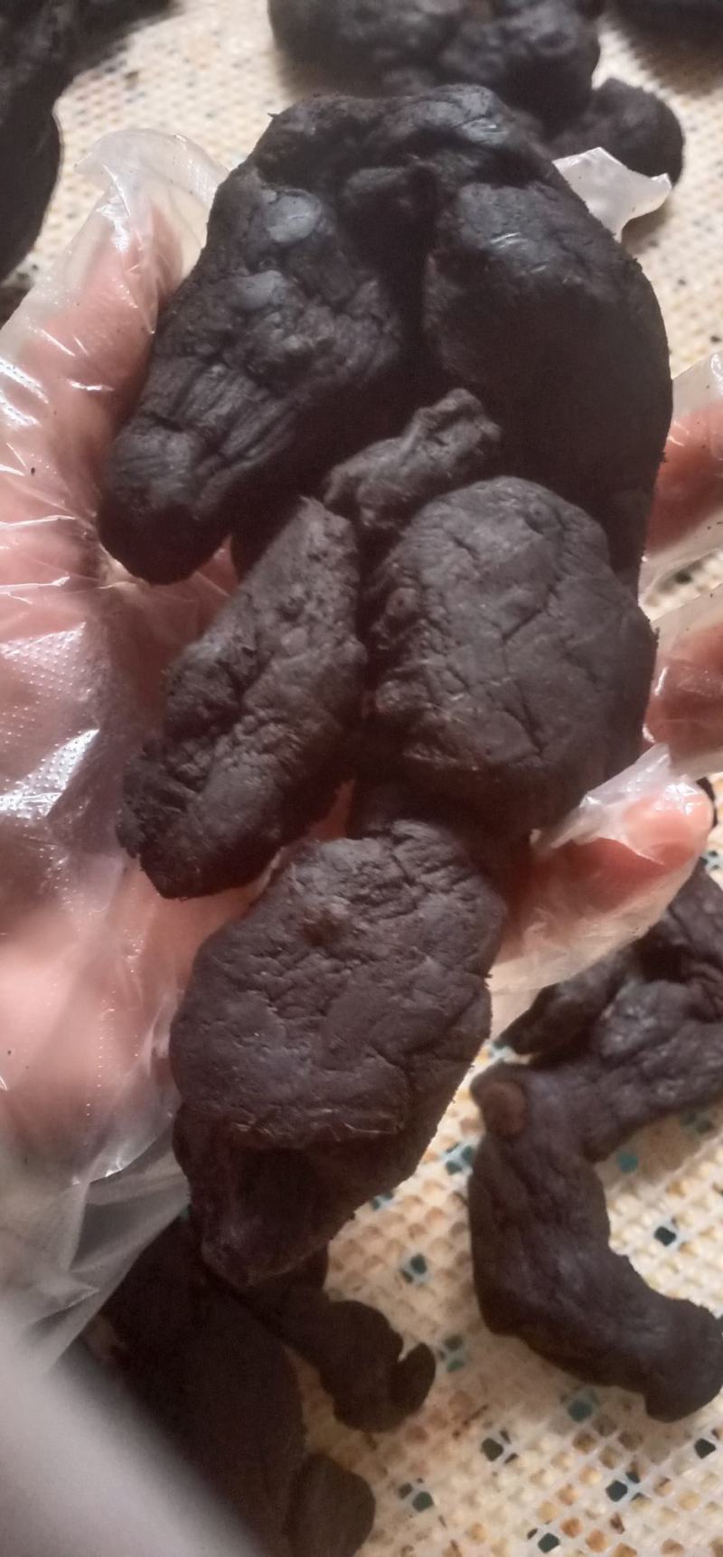 九制黄精