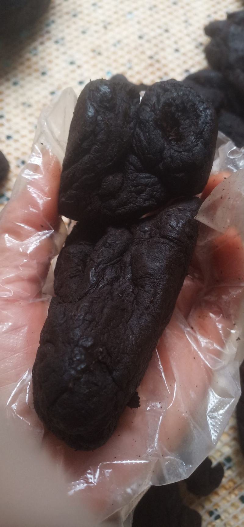 九制黄精