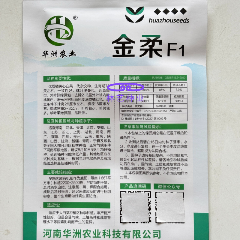 金柔F1橘黄心大白菜种子早熟桔黄心大白菜叶多帮薄口感好
