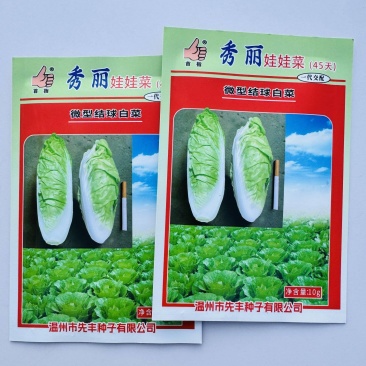 结球型白菜种籽包心紧实鲜嫩春秋播种黄心白菜种子杂交高产