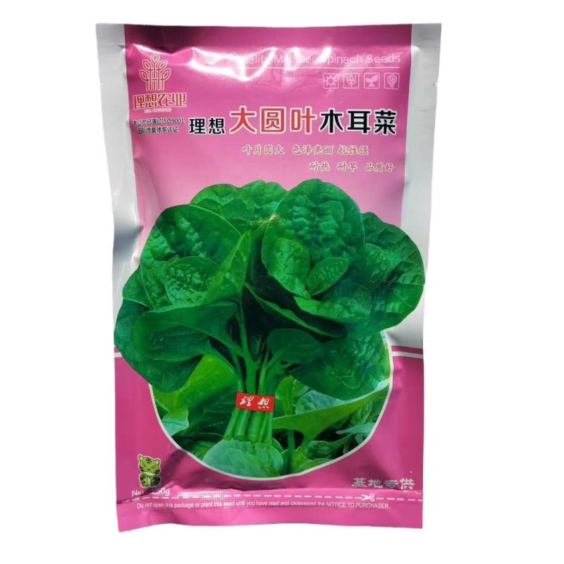 大叶木耳菜种子叶片肥厚好吃耐高热耐旱春夏四季阳台盆栽蔬菜