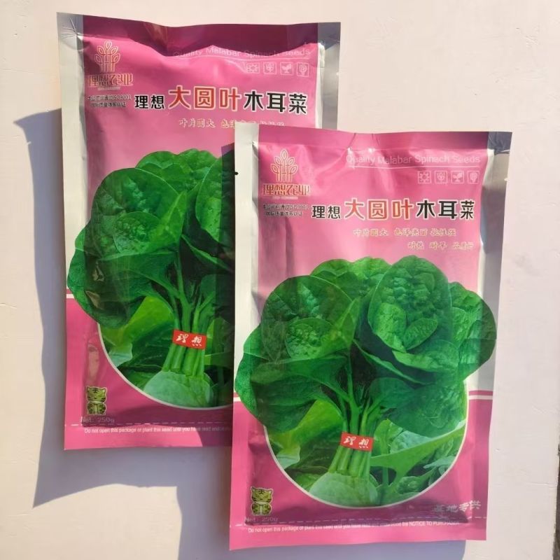 大叶木耳菜种子叶片肥厚好吃耐高热耐旱春夏四季阳台盆栽蔬菜