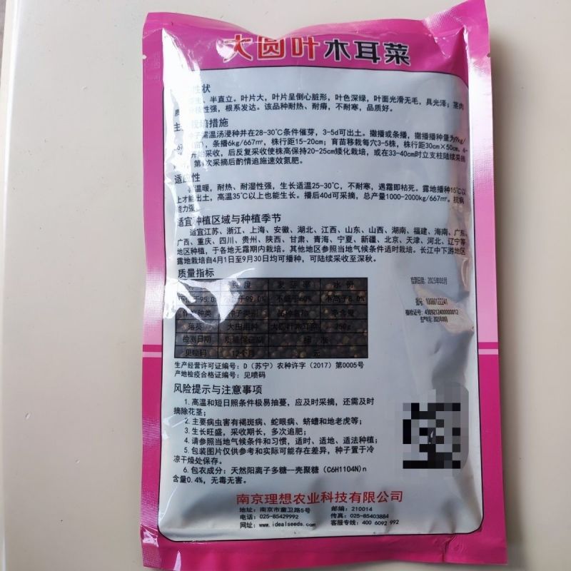 大叶木耳菜种子叶片肥厚好吃耐高热耐旱春夏四季阳台盆栽蔬菜