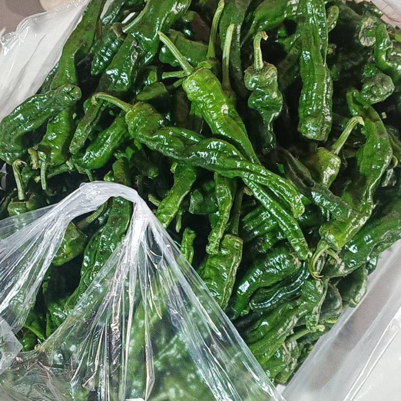 山东金乡皱皮，新鲜采摘，工人分拣上车，量大，需要联系