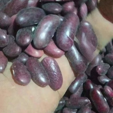缅甸大豆，辣椒，小洋葱，黑米