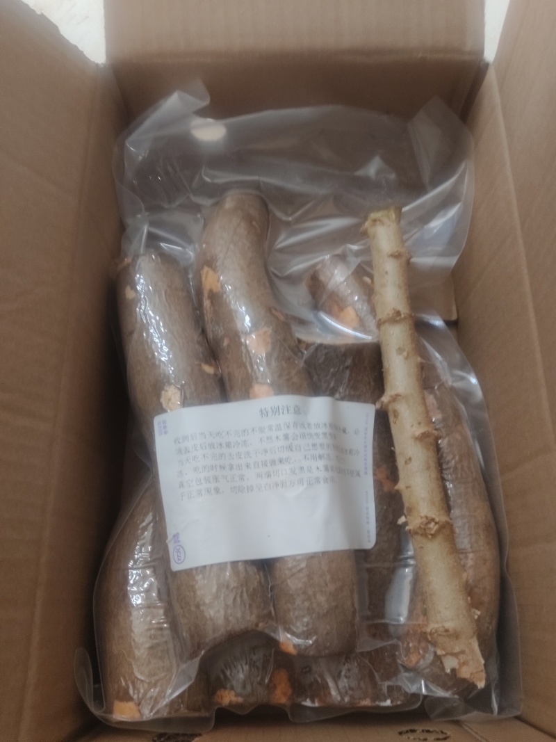 华南九号食用木薯