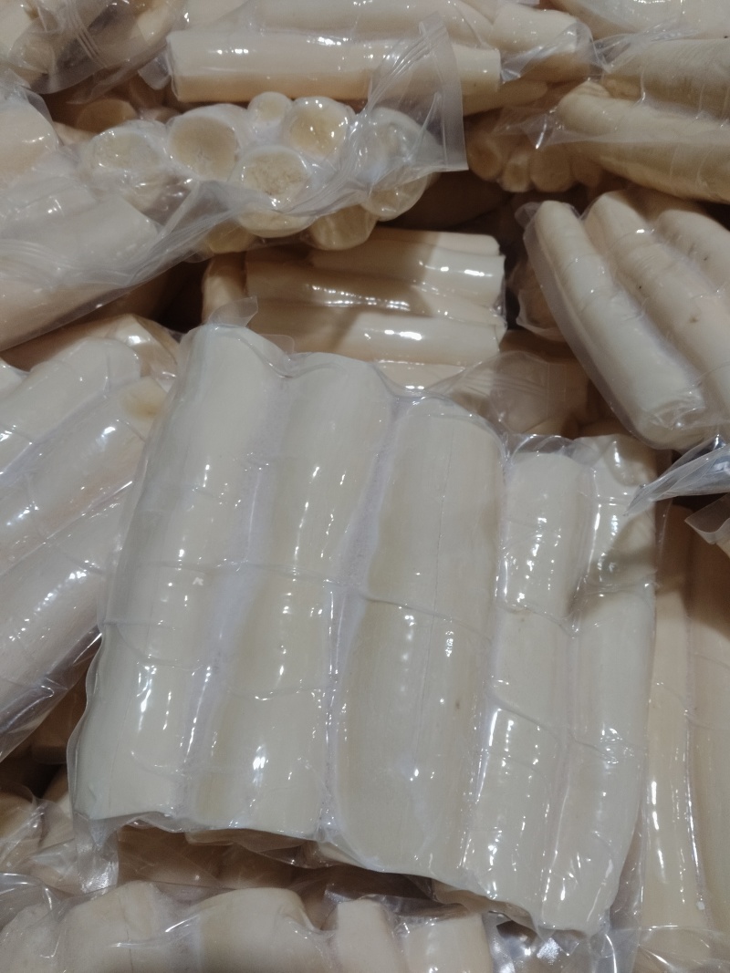 华南九号食用木薯