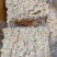 华南九号食用木薯