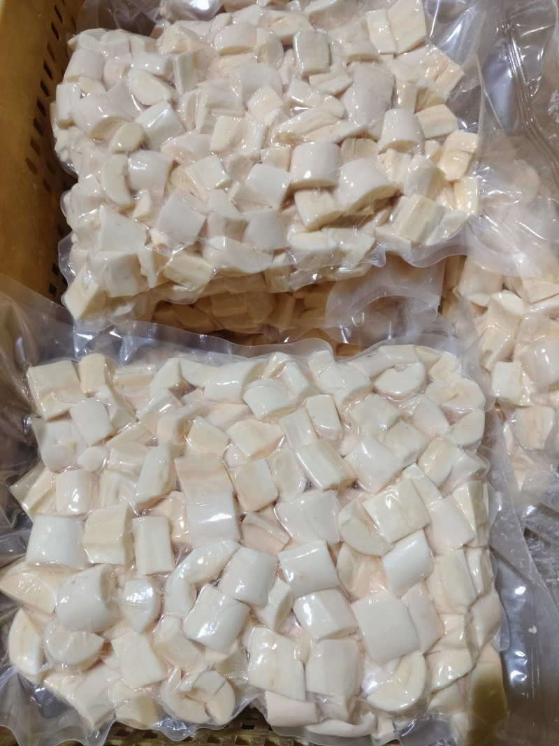 华南九号食用木薯