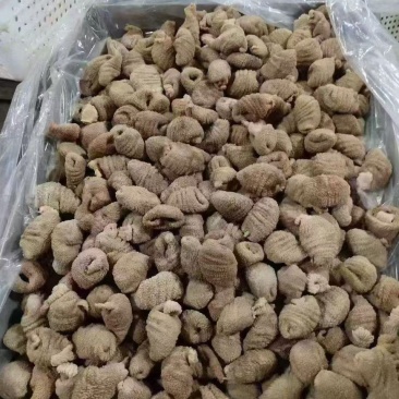 鸡蛋包头