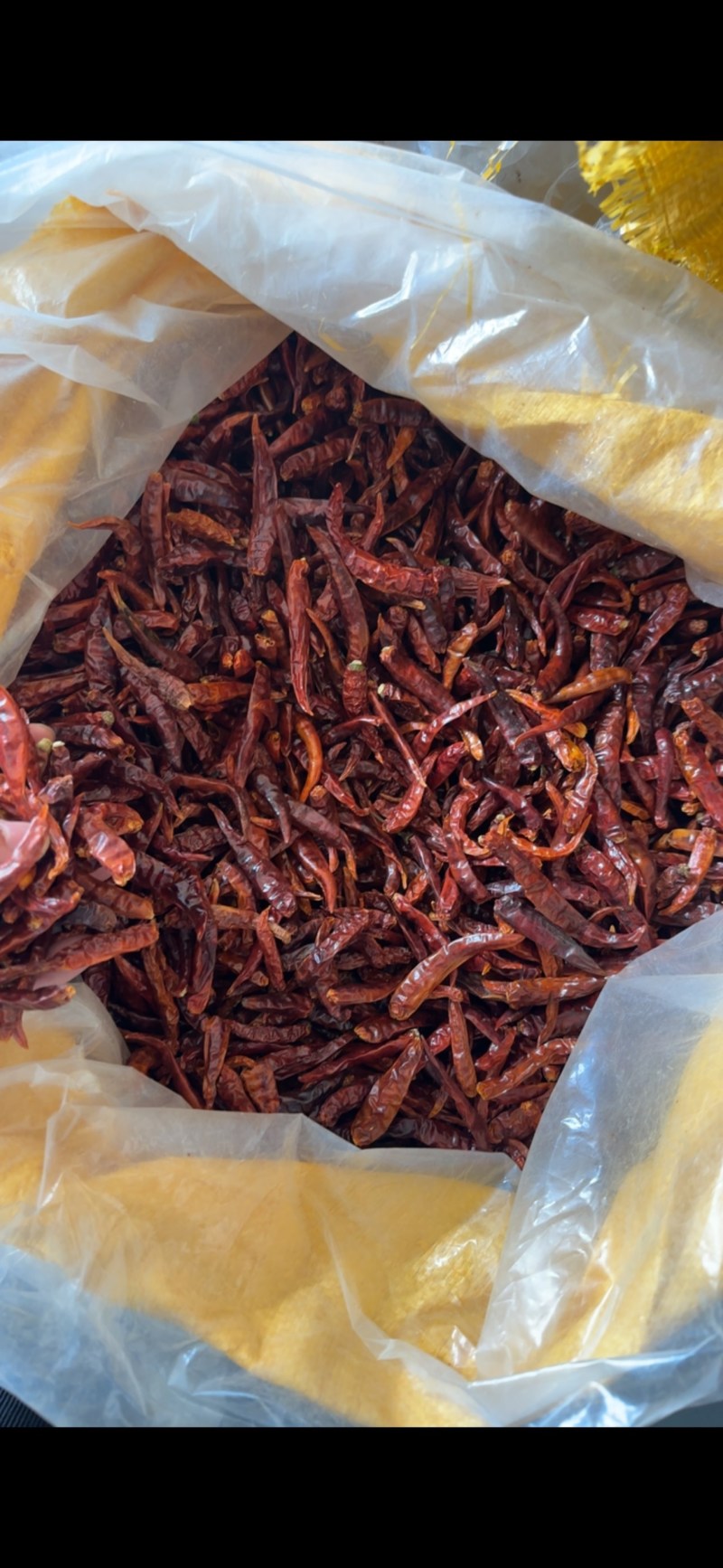 烘干艳红干辣椒