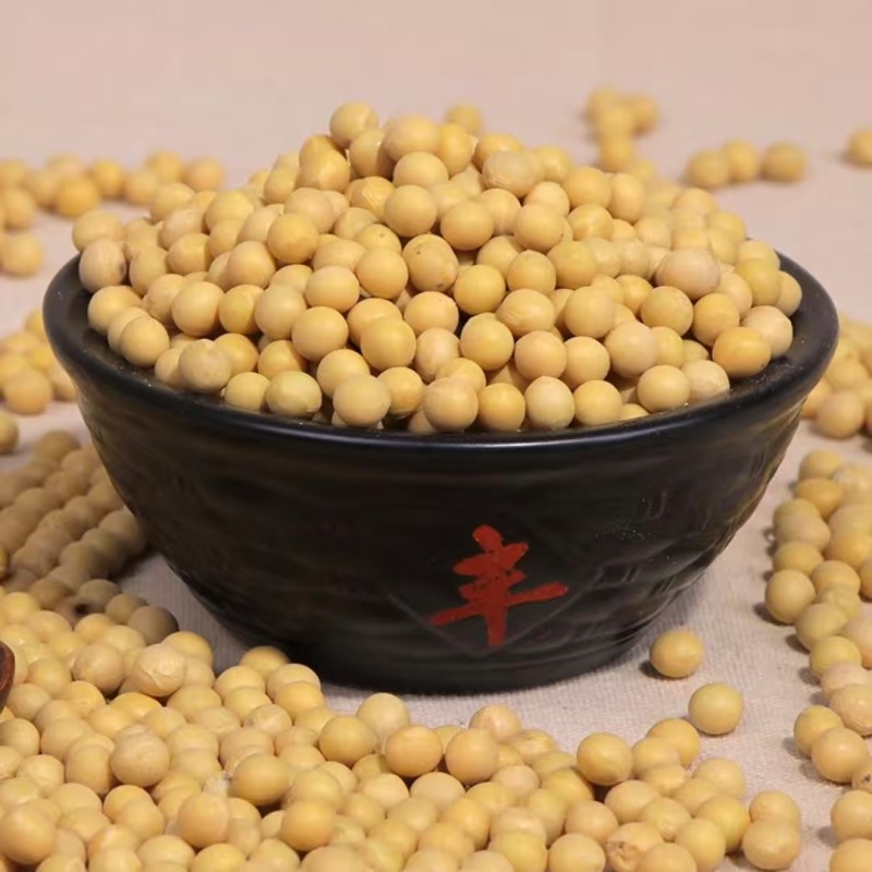 黄豆大豆东北黄豆食品原料豆制品磨粉大中小粒黄豆