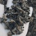 便宜1.2有厚度干净十成干度纯头茬