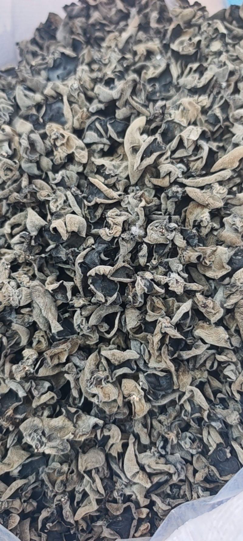 便宜1.2有厚度干净十成干度纯头茬