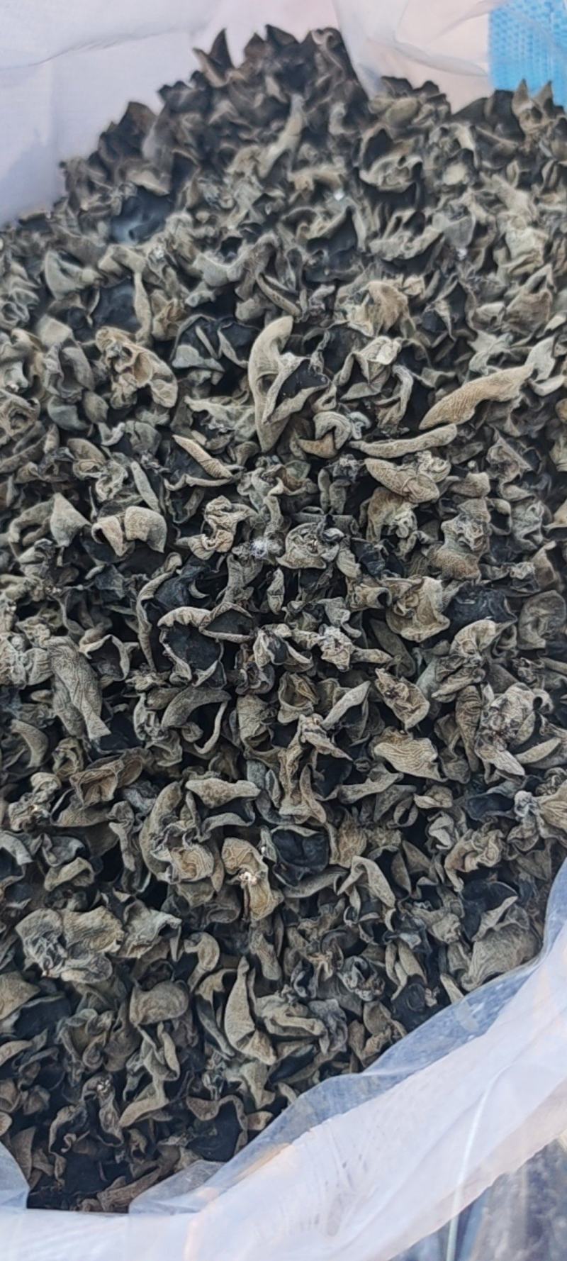 便宜1.2有厚度干净十成干度纯头茬