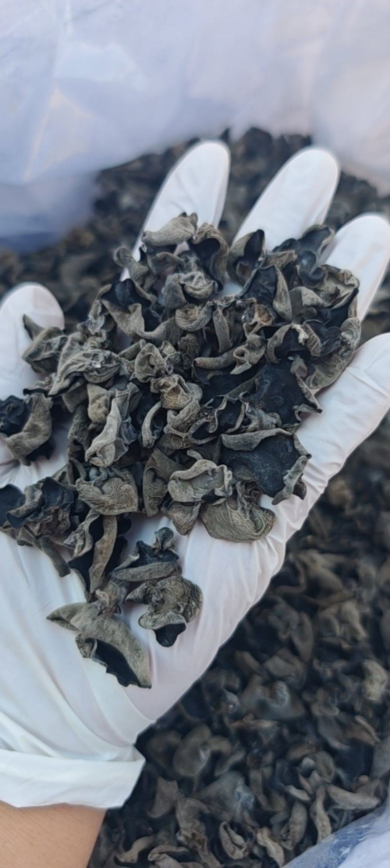 便宜1.2有厚度干净十成干度纯头茬
