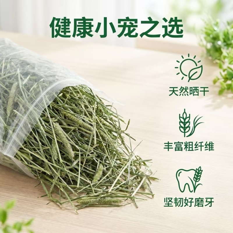 自然晒干头茬提摩西草，适合养宠兔宝，荷兰猪，龙猫最佳