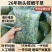 自然晒干头茬提摩西草，适合养宠兔宝，荷兰猪，龙猫最佳