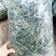 自然晒干头茬提摩西草，适合养宠兔宝，荷兰猪，龙猫最佳