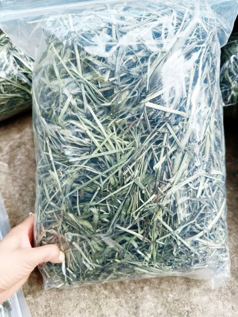 自然晒干头茬提摩西草，适合养宠兔宝，荷兰猪，龙猫最佳