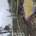 四川三月笋
