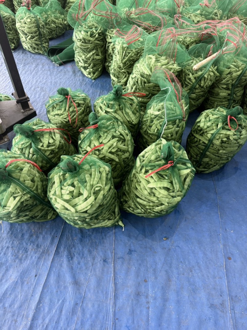 吉林豆角，吉林油豆角，九月青，东北油豆角