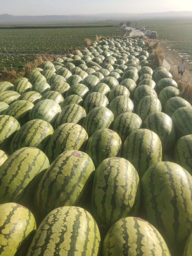 宁夏硒砂瓜产地一手货源糖度高耐运输石头缝里的硒砂