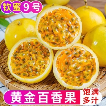 广西百香果钦蜜九号