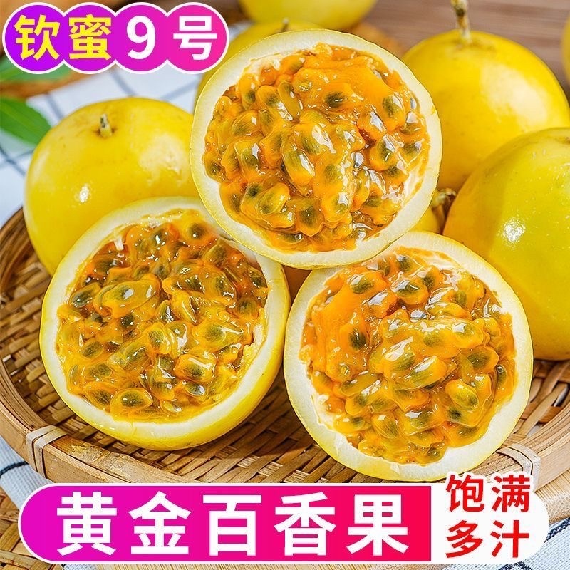 广西百香果钦蜜九号