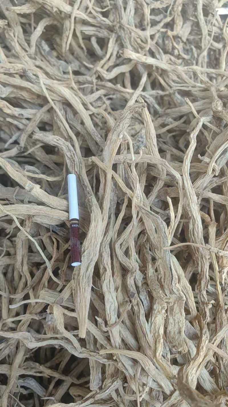 供应百部、百部根、百部饮片