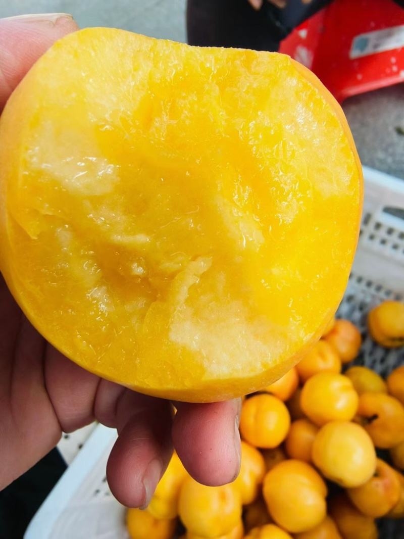 平谷陆地桃子，油桃，蟠桃，毛桃，水蜜桃各种桃