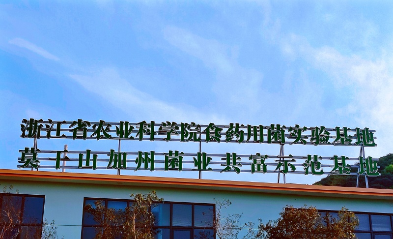 菌中燕窝黄金耳鲜品（120-190克/个）