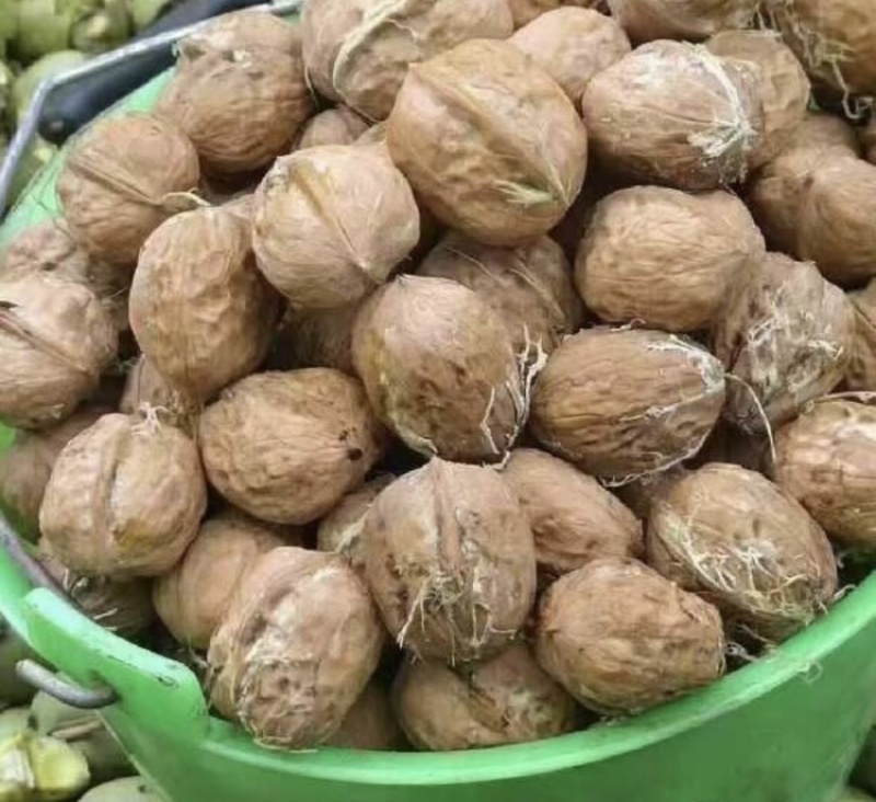 青皮核桃（原产地直发）