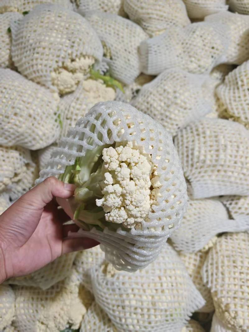 菜花产地代发，质量好，价格低！