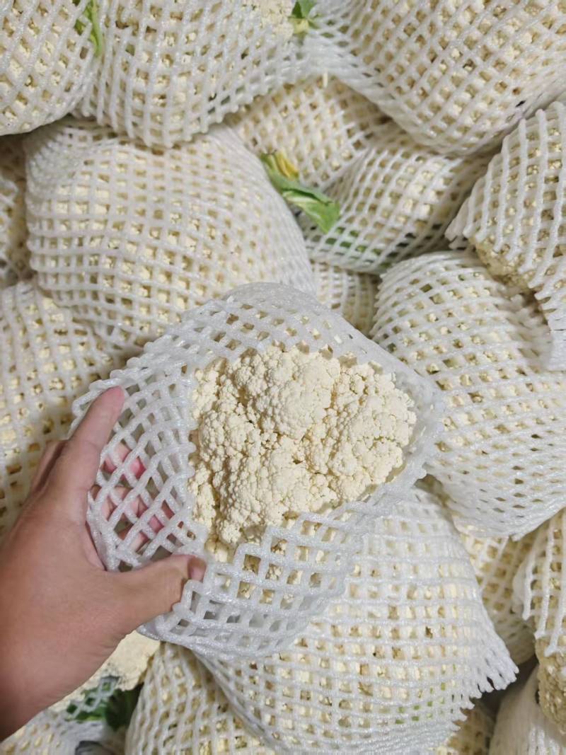 菜花产地代发，质量好，价格低！