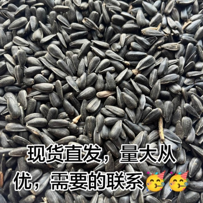 葵籽净油38，现货，需要的联系