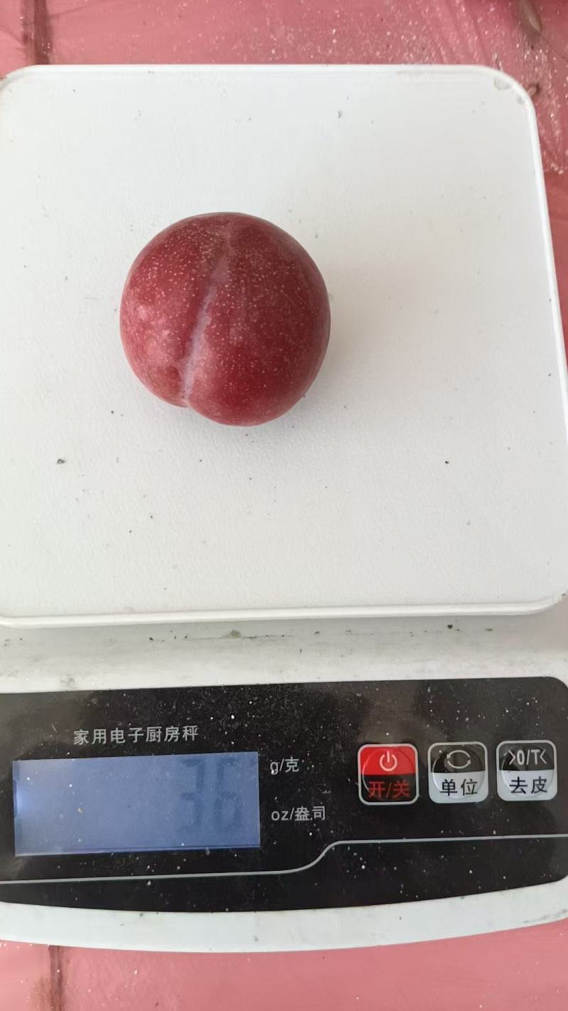 福建芙蓉李，对接各大农批市场，商超，电商平台