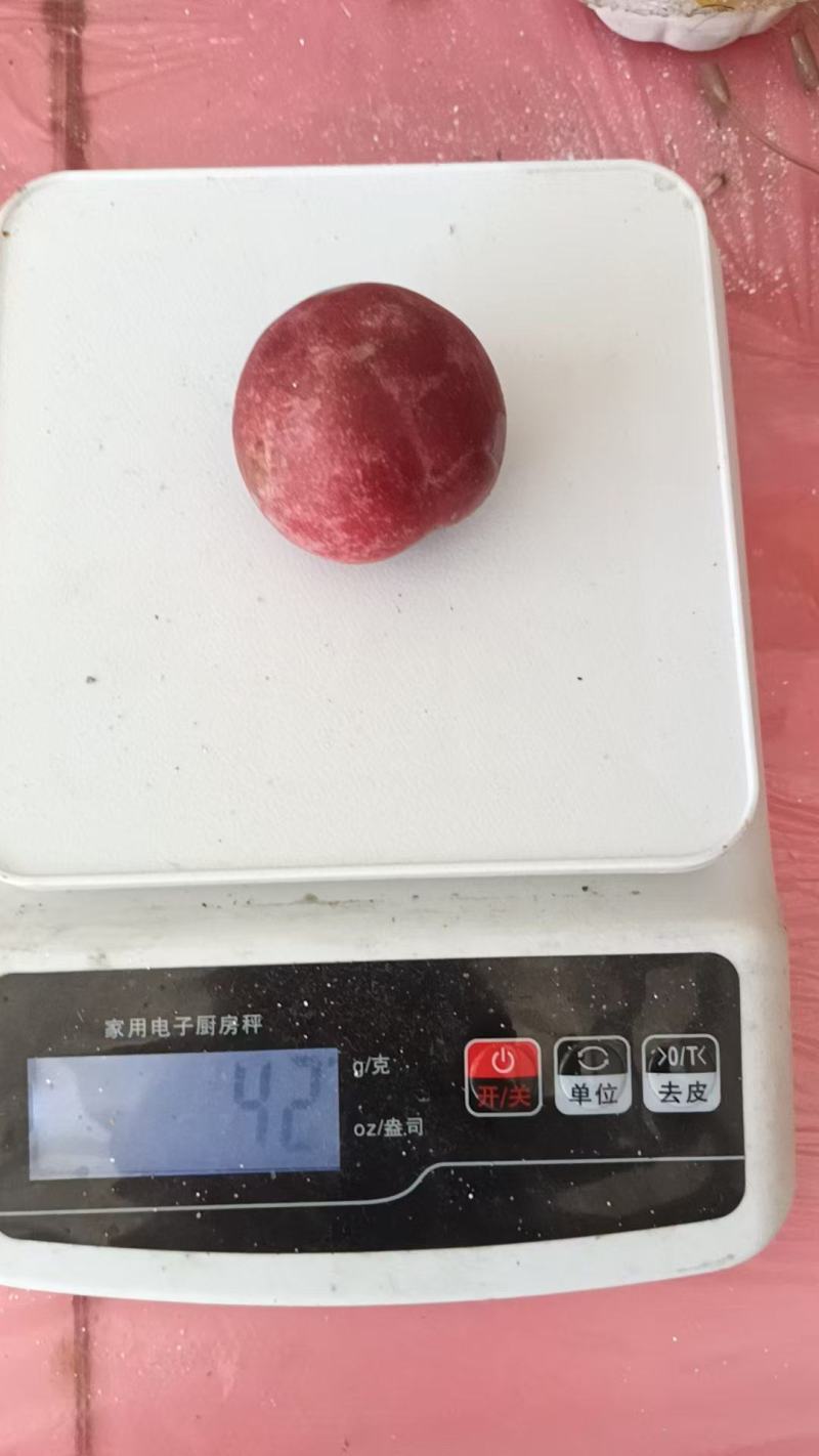 福建芙蓉李，对接各大农批市场，商超，电商平台