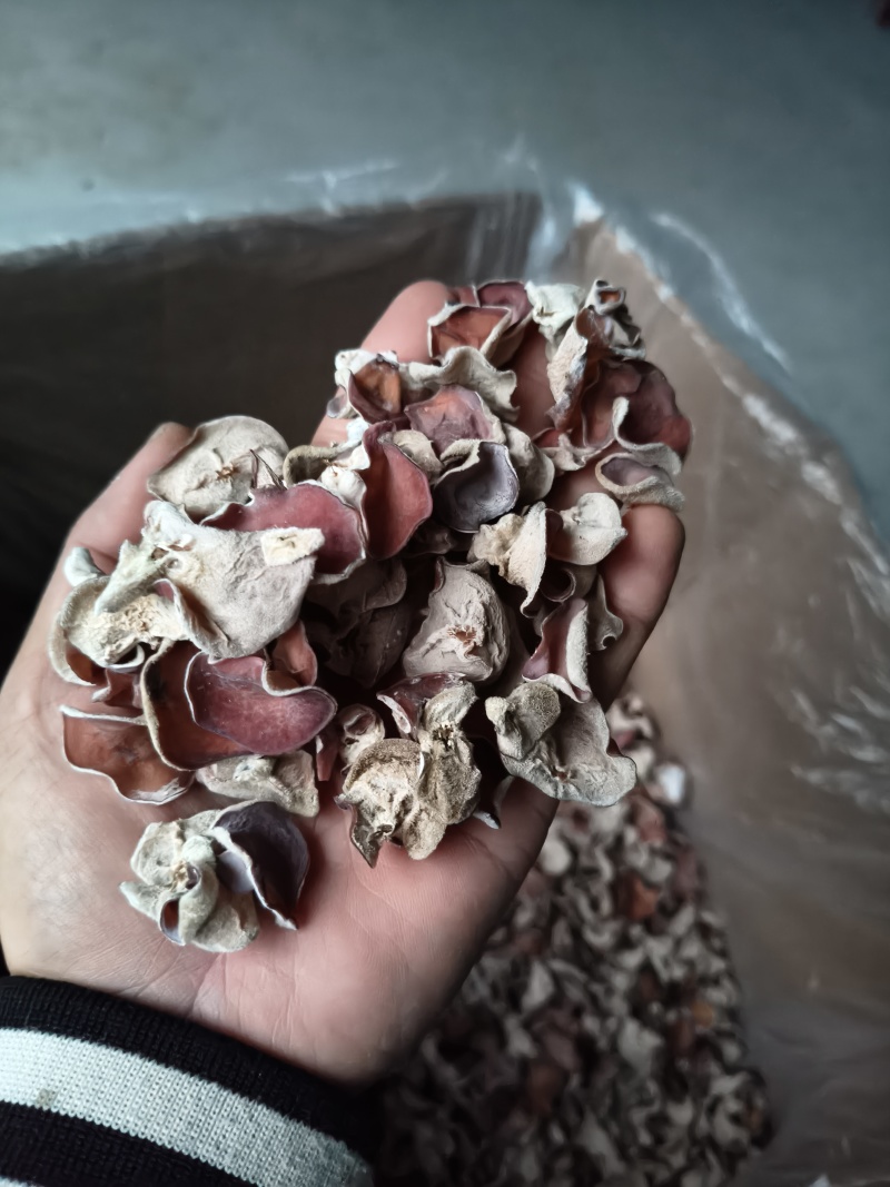 粉木耳贵妃木耳红木产地分大片中片小片**分级货