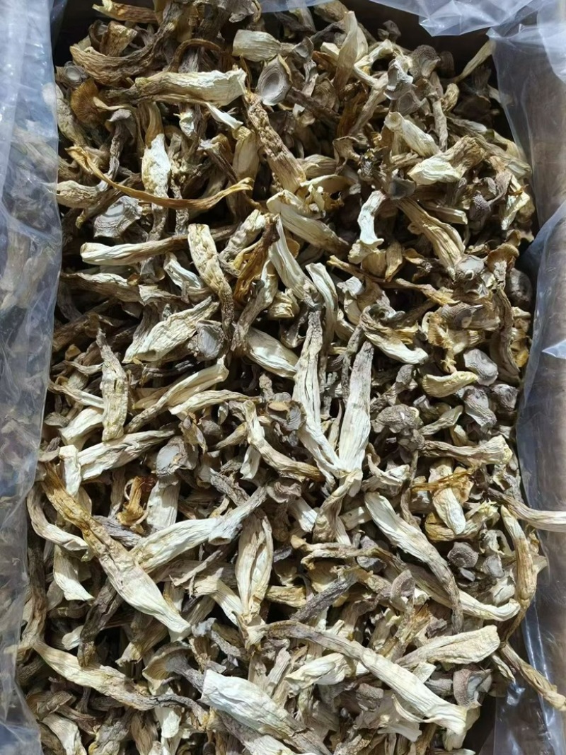 鹿茸菇干鹿茸菇商用A级鹿茸菇