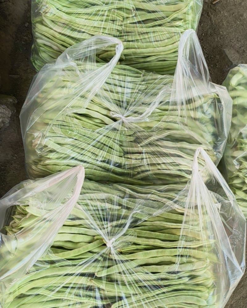 白扁豆