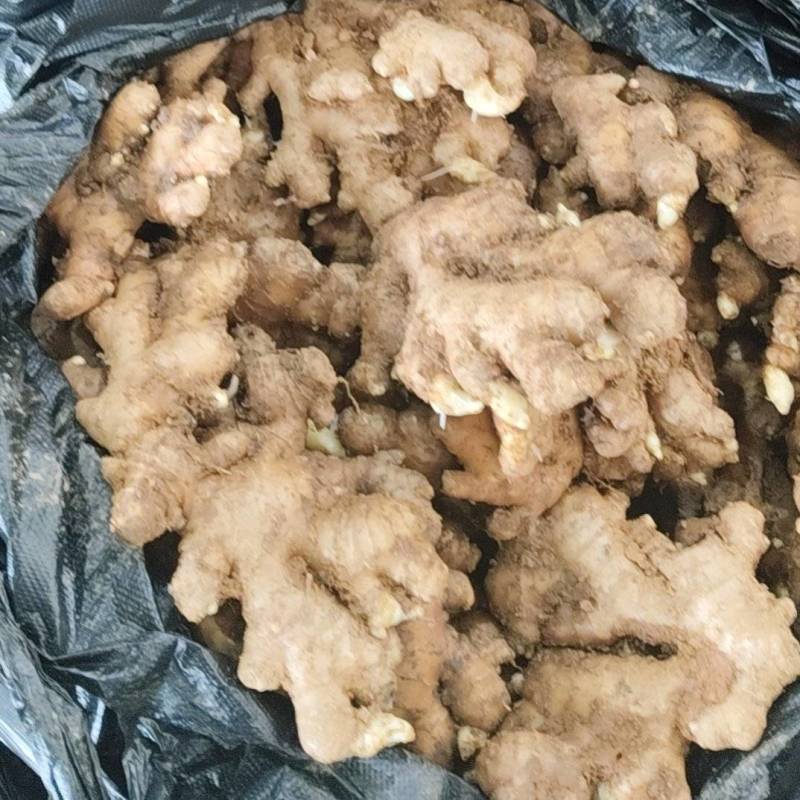 生姜