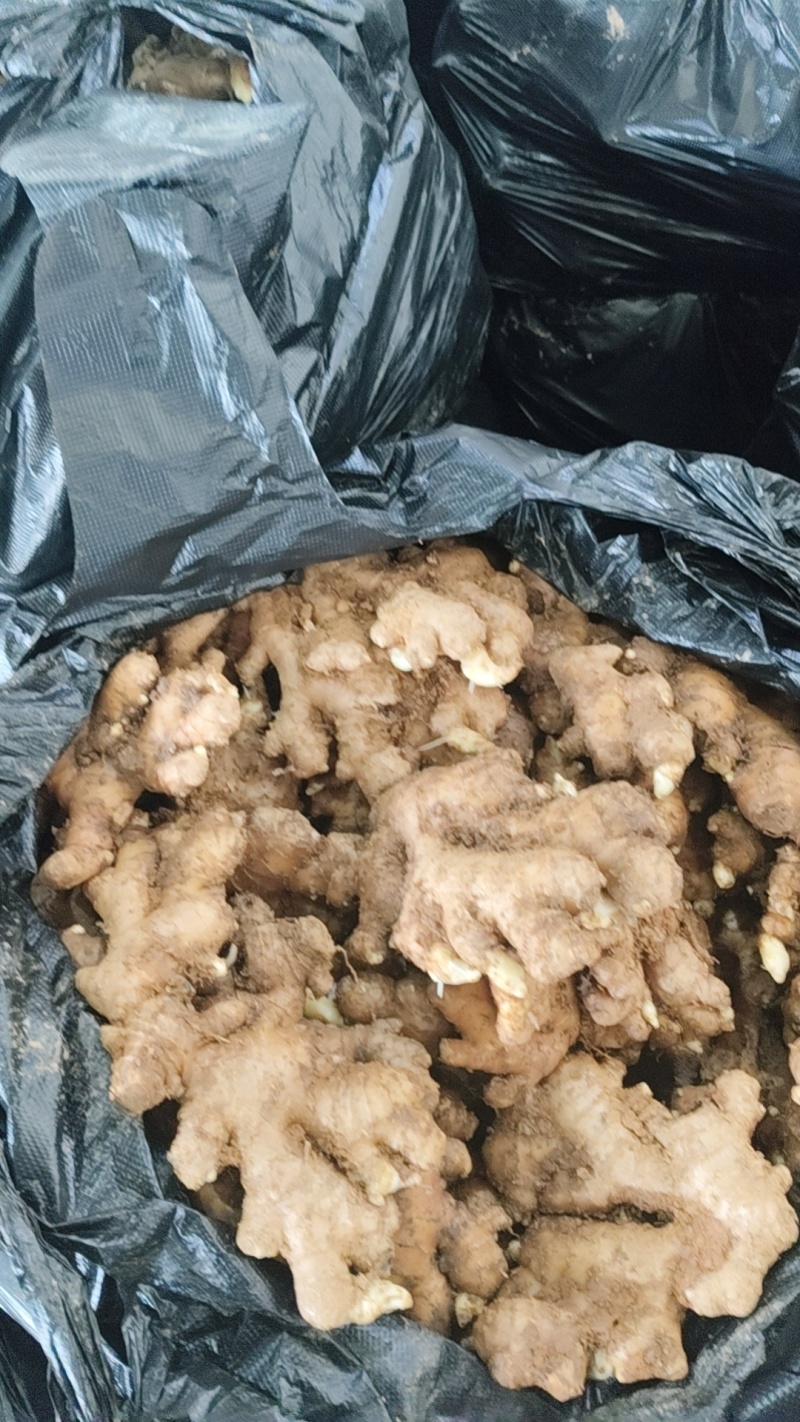 生姜